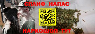 МДПВ Донецк