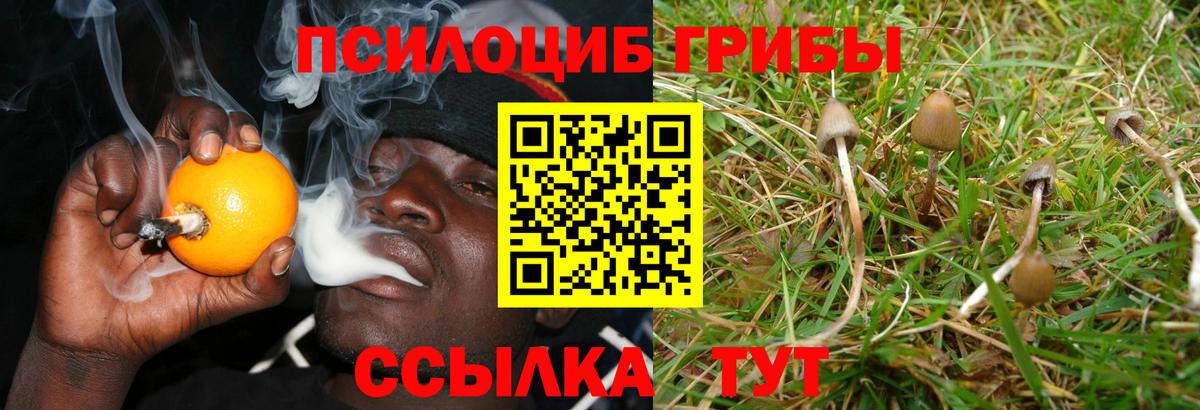 Псилоцибиновые грибы ЛСД Магадан