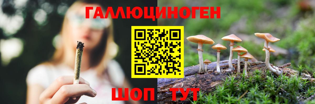 Псилоцибиновые грибы Cubensis  Вход с VPN  Магадан 